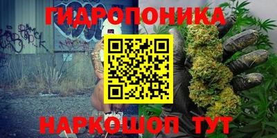 мдпв Нальчик