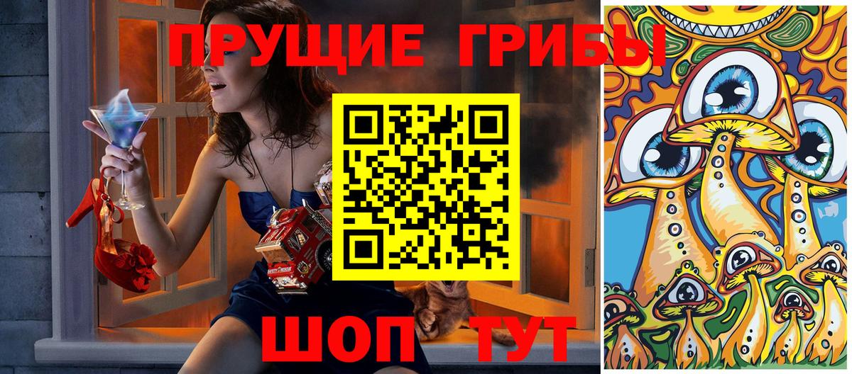 Псилоцибиновые грибы прущие грибы  Вход с VPN  Углич 